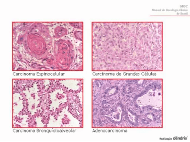 Volume 01 ● Número 01